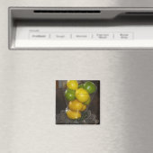 Aimant Citrons et limons (In Situ (Lave-vaisselle))