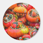 Aimant Citrouille coloré (Devant)
