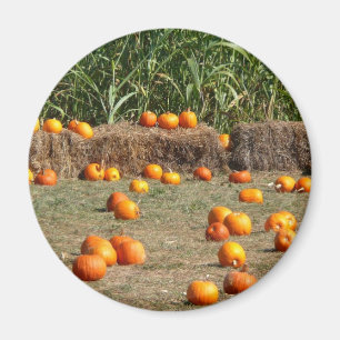 Aimant Citrouille, Corn et Hay Automne de la récolte Phot