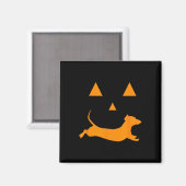 Aimant Citrouille d'Halloween Dachshund Jack-o-lantern Co (Recto/Verso)