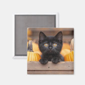 Aimant Citrouille Patch Kitten (Recto/Verso)