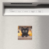 Aimant Citrouille Patch Kitten (In Situ (Lave-vaisselle))