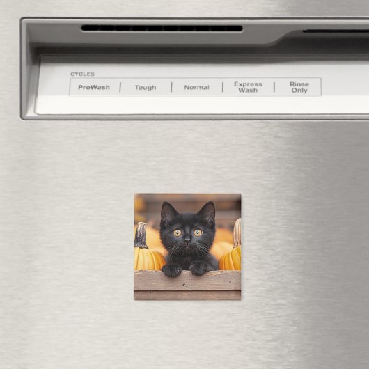 Aimant Citrouille Patch Kitten (In Situ (Lave-vaisselle))