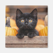 Aimant Citrouille Patch Kitten (Devant)