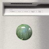 Aimant Citrouille vert (In Situ (Lave-vaisselle))