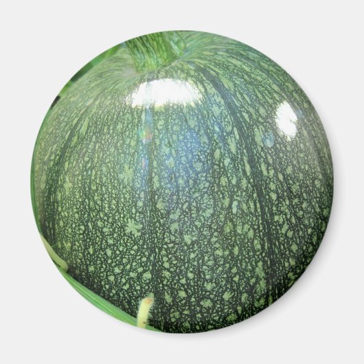 Aimant Citrouille vert (Devant)