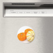 Aimant Citrouilles décoratifs (In Situ (Lave-vaisselle))