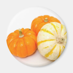 Aimant Citrouilles décoratifs