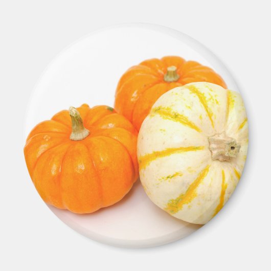 Aimant Citrouilles décoratifs (Devant)