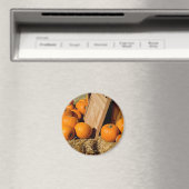 Aimant Citrouilles sortis de la boîte (In Situ (Lave-vaisselle))