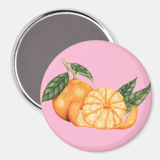 Aimant Citrus (Recto/Verso)