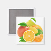 Aimant Citrus fruits (Recto/Verso)