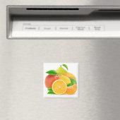 Aimant Citrus fruits (In Situ (Lave-vaisselle))
