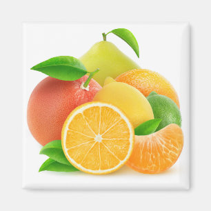 Aimant Citrus fruits