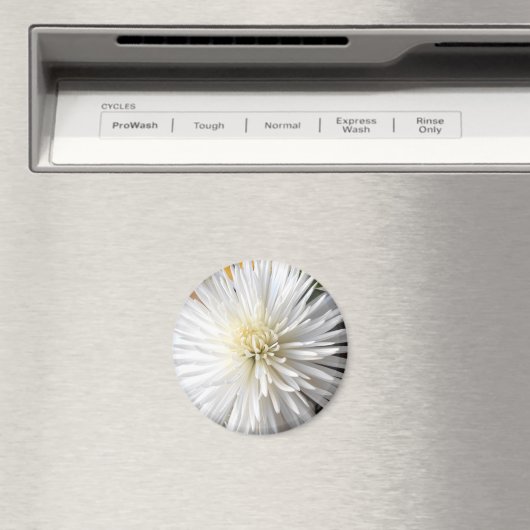 Aimant Claricia (In Situ (Lave-vaisselle))