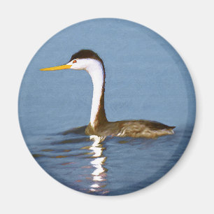 Aimant Clark's Grebe Painting - Art original pour les ois