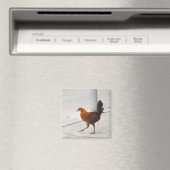 Aimant Clé Poulet Occidental Sur Le Trottoir Floride Magn (In Situ (Lave-vaisselle))