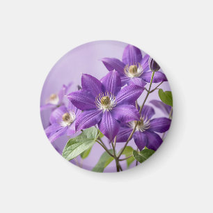 Aimant Clématite Fleurie Violette Élégante