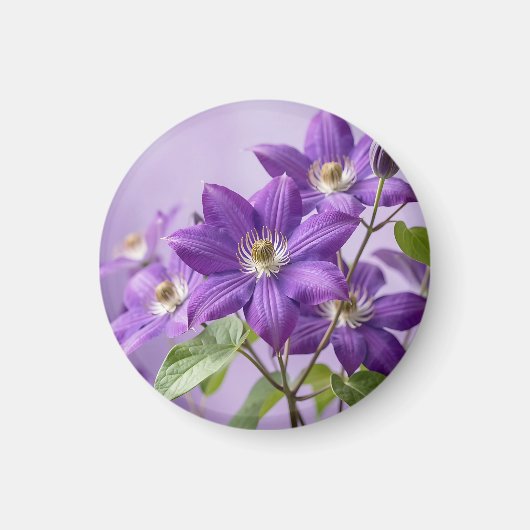 Aimant Clématite Fleurie Violette Élégante (Devant)