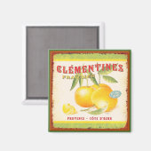 Aimant Cléménites de Provence (Recto/Verso)