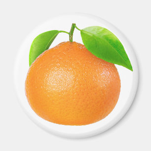 Aimant Clementine