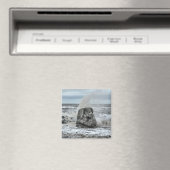 Aimant Cleveleys Ogre (In Situ (Lave-vaisselle))
