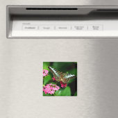 Aimant Clipper sur Pentas 1 (In Situ (Lave-vaisselle))