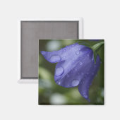Aimant cloche bleue (Recto/Verso)