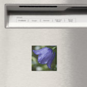 Aimant cloche bleue (In Situ (Lave-vaisselle))