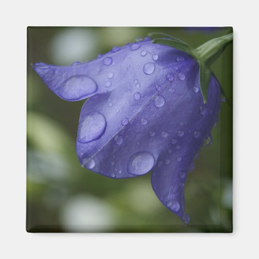 Aimant cloche bleue (Devant)