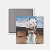 Aimant Close-up of Horse with Mouth Open (Recto/Verso)