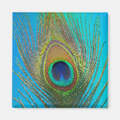 Aimant Close up of peacock feather (Devant)