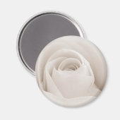 Aimant Close up of White Rose (Recto/Verso)