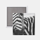 Aimant Close-up of zebra face and shoulder (Recto/Verso)