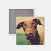 Aimant Closeudo drôle d'un chien Doberman naturel (Recto/Verso)