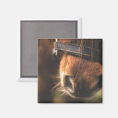 Aimant Closeudo d'un mignon cheval Brown nez (Recto/Verso)