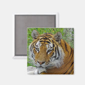 Aimant Closeup de tigre de Sibérie Photo du visage (Recto/Verso)
