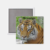 Aimant Closeup de tigre de Sibérie Photo du visage (Recto/Verso)