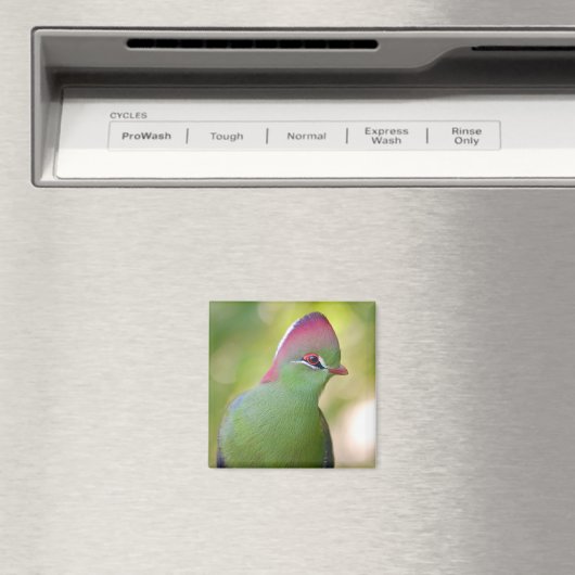 Aimant Closeup turaco de fischer (In Situ (Lave-vaisselle))