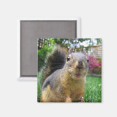 Aimant Closeuse d'écureuil (Recto/Verso)