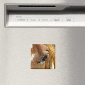 Aimant Closeuse des yeux du cheval (In Situ (Lave-vaisselle))