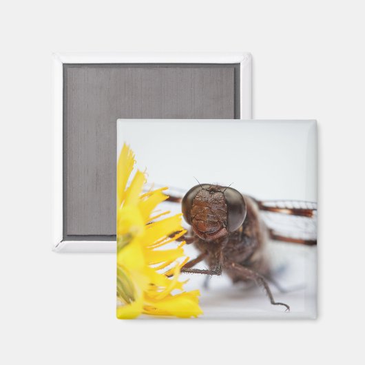 Aimant Closeuse libellule face et jaune Dandelion fleur (Recto/Verso)