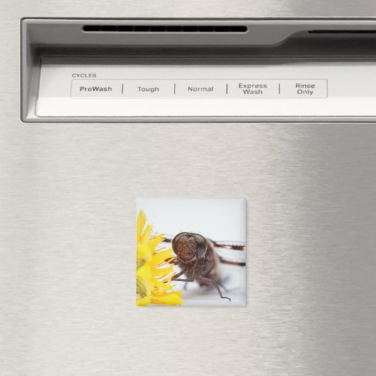 Aimant Closeuse libellule face et jaune Dandelion fleur (In Situ (Lave-vaisselle))