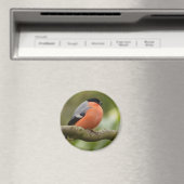 Aimant Clôture (In Situ (Lave-vaisselle))