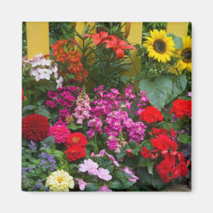 Aimant Clôture blanche avec jardin de fleurs en