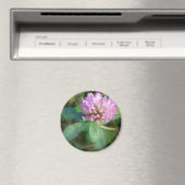 Aimant Clover (In Situ (Lave-vaisselle))