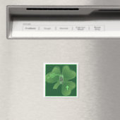 AIMANT CLOVER IRLANDAIS (In Situ (Lave-vaisselle))