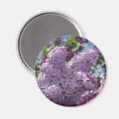 Aimant Cluster Lilac (Recto/Verso)