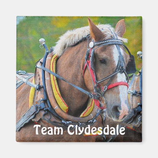 Aimant Clydesdale Draft Horse Team Magnetic Art Cadeau (Devant)