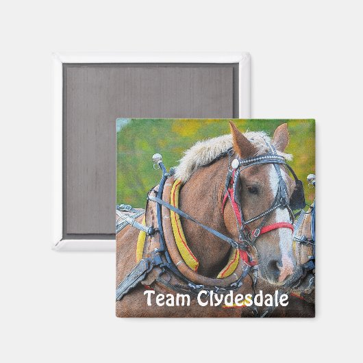 Aimant Clydesdale Draft Horse Team Magnetic Art Cadeau (Recto/Verso)